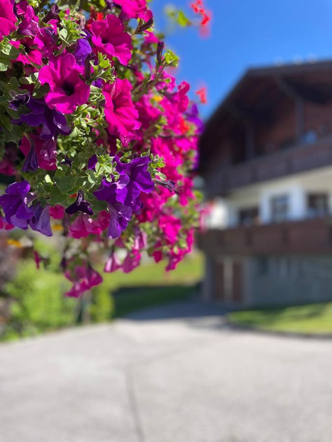 Luserblick Haus im Ennstal Exterior photo